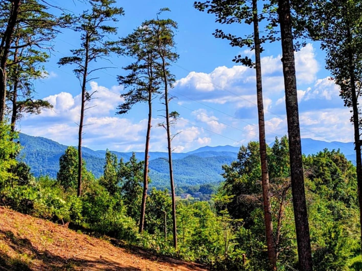 Lil Cabin In The Cove! Mtn Views, Theater, Hot Tub, Games, King Beds, Prime Location! Sevierville Zewnętrze zdjęcie